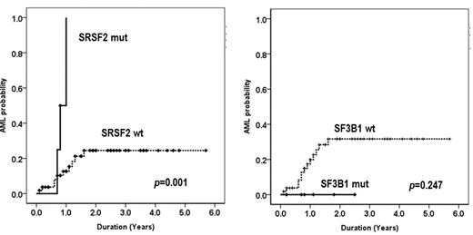 Fig. 1. AML probability of SRSF2 and SF3B1 splicing genes in MDS patients without harboring ring sideroblast. The leukemia free survival in patients with SRSF2 mutation was inferior to the WT (p=0.001). However, no statistical significance of the leukemic transformation was observed in the patients with SF3B1 mutation (p=0.247).
