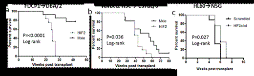 Fig. 1. Percent survival of recipients of (a) FDCP1 cells retrovirally transduced with HIF-2α-MXIE vector or MXIE control empty vector, (b) vavBcl2 HSC transduced with HIF-2α-MXIE vector or MXIE empty vector, and (c) HL60 cells transduced with HIF-2α knocked-down or scrambled control lentiviral vectors.
