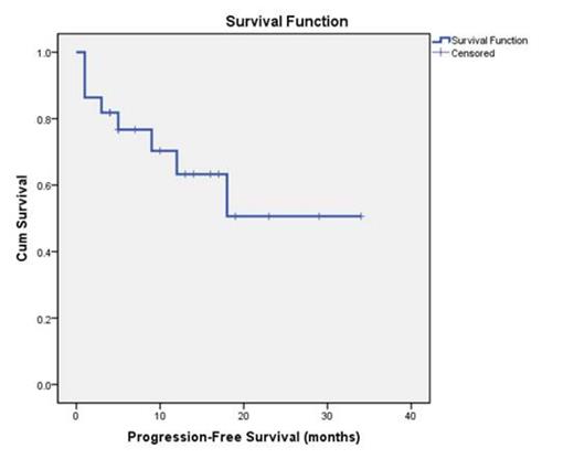 Figure 1. Progression-free survival