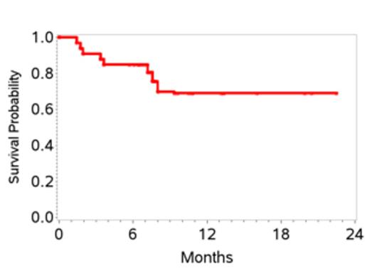 Figure 2. Overall Survival