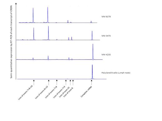 Figure1.