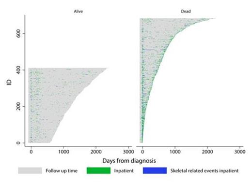 Figure 1. Individual Patient Pathways Showing Inpatient Episodes