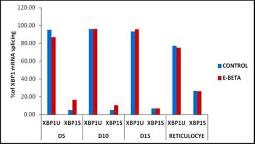 Figure 1. Spliced variants of XBP1mRNA in controls and HbE-β thalassemia patients