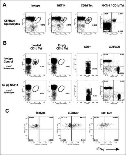Figure 1. A C57BL/6 splenocytes were stained with NKT14 or isotype control followed by a secondary anti mouse IgG2a monoclonal and aGalCer loaded CD1d Tetramer. B C57BL/6 mice were injected with 50 µg NKT14 or isotype control. Mice were sacrifice 24 hours after dosing and splenocytes prepared, counted and stained for CD3, CD4, CD8 and aGalCer loaded CD1d Tetramer to assess specifity of iNKT cell depletion. C C57BL/6 mice were injected with 2µg aGalCer, 50 µg NKT14m or isotype control. 2 hours post dosing mice were sacrificed, splenocytes prepared and stained for CD3 and aGalCer loaded CD1d tetramers to identify iNKT cells, washed, fixed, permeabilized and stained for intracellular IFn-Gamma.