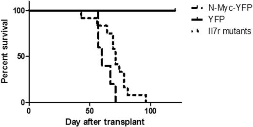 Figure 1. Survival curve of recipient mice transplanted with CD4-CD8- thymocytes transduced with N-Myc and Il7r mutants.