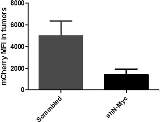 Figure 2. Mean fluorescent intensity (MFI) of mCherry in mice transplanted with leukemic+ (GFP) Scrambled+(mCherry) or leukemic+(GFP) shN-Myc+(mCherry) double positive cells.