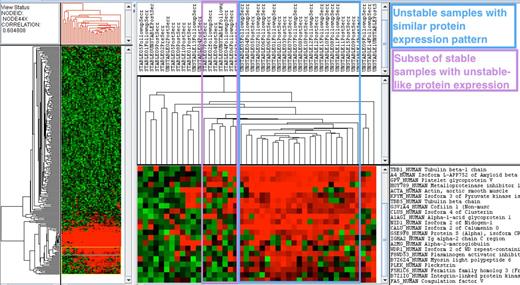 Figure. Clustering of platelet secretion proteins patients identifies a common signature in patients with ACS.