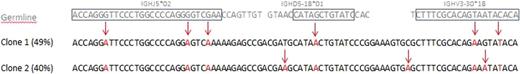 Figure 1. The germline V, D, J sequences are shown on top with the boxed sequences present in the clonotypes and the unboxed bases representing the sequences that were deleted during the VDJ recombination to form the clonotypes. The middle and lower sequences represent two detected clones present at 49% and 40% frequency. The untemplated base additions (N bases) in the clones are those that do not correspond to the germline bases in the first line. The red bases are those that have undergone somatic hypermutation. Three mutations are present in clone 2 that are not present in clone 1.
