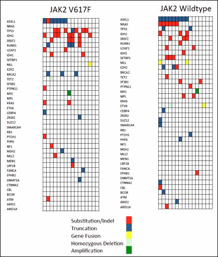 Figure 1. Spectrum of genomic alterations found in JAK2V617F and JAK2 wildtype post-MPN AML.