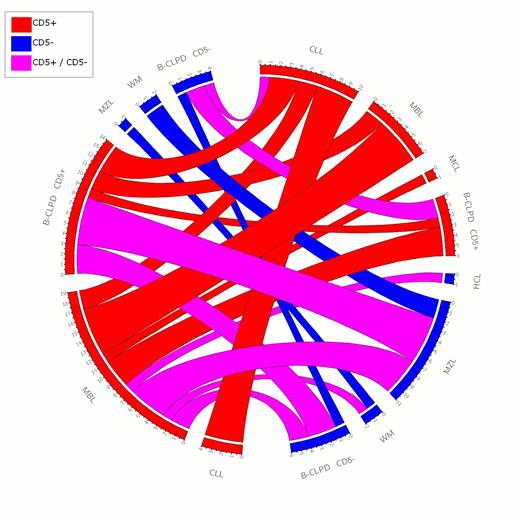 Figure 1. Circos representation of leukemic chronic B cell disorder associations. CLL: Chronic lymphocytic leukemia; MBL: Monoclonal B lymphocytosis; MCL: Mantle cell lymphoma; WM: Waldenström macroglobulinemia; B-CLPD CD5+: atypical chronic CD5+ B-CLPD, B-CLPD CD5-: atypical chronic CD5- B-CLPD; HCL: Hairy cell leukemia