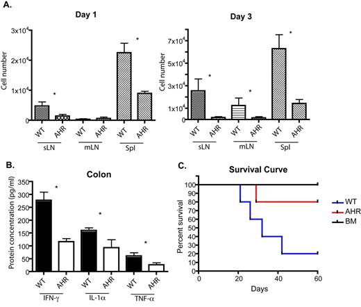Figure 1. A. CFSE-labeled donor B6 WT or AhR KO T cells were transplanted with T cell-depleted (TCD) BM cells to B6D2 recipients. 1 day and 3 days later, skin-draining LN (sLN), mesenteric LN (mLN), and spleens (Spl) were harvested and CFSE+ T cells were analyzed by flow cytometry. B-C. Donor WT or AhR KO T cells were transplanted with TCD BM cells. B. On day 7, B6D2 recipient mice were sacrificed and target organs were collected and homogenized. Cytokines were examined by ELISA. C. B6D2 recipient mice were observed over time for survival curve. The P-value between WT and AhR transplants survival curve was 0.0374 by Logrank test. * indicates statistically different by student t.