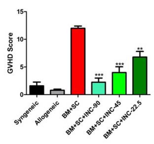 Figure 1. INCB18424 administration prevents aGvHD while preserving a robust GvT activity. A) Effect of INCB18424 on survival. Irradiated BALB/c mice received BM+SC cells from donors C57BL/6 (B6) and were treated or not with INCB18424 for 14 days at the three different doses of (INC90, INC45,INC22.5). Mice receiving B6 BM cells only (allogeneic) and syngeneic transplants were included. Data represent the pool of 2 independent experiments. N=15 each group, N=10 in control groups. B) GvHD score. Tissue sections of skin, liver, and intestine were graded by a veterinary pathologist on day 14 after allo-HSCT. C) Effect of INCB18424 on the survival of allo-HSCT recipients challenged with tumor cells. Allo-HSCT recipients were co-injected A20 (BM+SC+A20) or a RMBI (BM+SC+RMB-1) cells and treated or not with INCB18424 45mg/kg/day (BM+SC+A20+INC45; BM+SC+RMB1+INC45). Control mice did not receive SC (BM-A20; BM-RMB1). Data represent the pool of 2 independent experiments. N=10 each group.