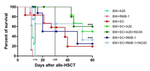 Figure 1. INCB18424 administration prevents aGvHD while preserving a robust GvT activity. A) Effect of INCB18424 on survival. Irradiated BALB/c mice received BM+SC cells from donors C57BL/6 (B6) and were treated or not with INCB18424 for 14 days at the three different doses of (INC90, INC45,INC22.5). Mice receiving B6 BM cells only (allogeneic) and syngeneic transplants were included. Data represent the pool of 2 independent experiments. N=15 each group, N=10 in control groups. B) GvHD score. Tissue sections of skin, liver, and intestine were graded by a veterinary pathologist on day 14 after allo-HSCT. C) Effect of INCB18424 on the survival of allo-HSCT recipients challenged with tumor cells. Allo-HSCT recipients were co-injected A20 (BM+SC+A20) or a RMBI (BM+SC+RMB-1) cells and treated or not with INCB18424 45mg/kg/day (BM+SC+A20+INC45; BM+SC+RMB1+INC45). Control mice did not receive SC (BM-A20; BM-RMB1). Data represent the pool of 2 independent experiments. N=10 each group.