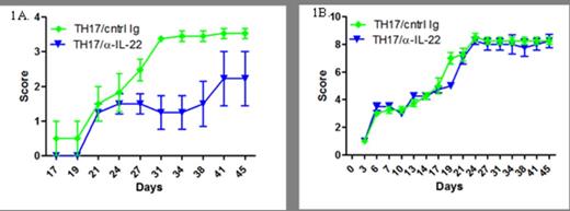 Figure 1. A.Cutaneous GvHD scoring. Mice transplanted with TH17 cells were treated with either 16mg/kg of control IgG or anti-IL-22 antibody once a week for four weeks. Mice were scored twice a week using an established scoring system: 0: No ulcers or alopecia; 1: Skin ulcers with alopecia less than 1cm2 in area; 2: 1-2 cm2 in area; 3: Greater than 2cm2 in area; an additional score of 0.3 is added if mice have ulcers or scaling on paws, tail, or ears. B. Acute GvHD scoring. Mice were scored twice a week using an established scoring system.
