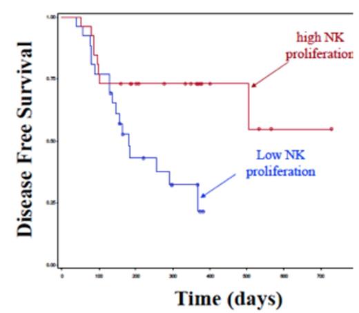 Figure 1. Disease Free Survival for patients undergoing dUCB transplant (n=53) based on low (blue) vs high (red) NK cell proliferation at Day 28 post transplant.