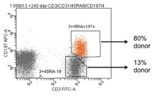 Figure 1. Chimerism of different T-cell subpopulations at day 240 post transplant