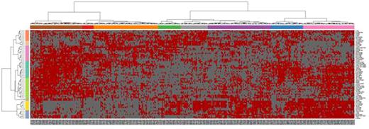 Figure 1. Heat map of PatGp, clustered as shown along the top based on protein PrCp (y axis right) clustered into 8 protein clusters (y-axis left) shown in binary signal format.