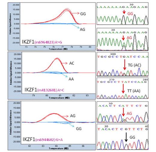 Figure 1. SNPs in IKZF1 detected by HRM. (A) rs6964823; (B) rs4132601; (C) rs6944602.