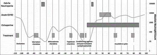 Figure 1. Timeline of main events during hematopoietic stem cell transplant.