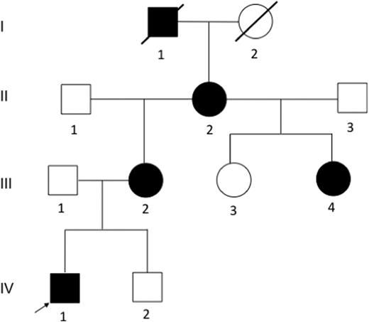 Figure 1. Pedigree of the Michigan family. Family members I1, II2, III2, III4, and IV1 were affected with primary ITP during childhood. DNA samples from II2, II3, III1, III2, III3, III4, IV1 and IV2 were available for this study.
