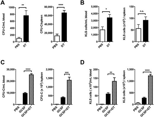 Figure 1. HSPC mobilization in Zbtb46-DTR mice. Zbtb46-DTR bone marrow chimeras were treated with diphtheria toxin (DT) alone, G-CSF alone, or DT plus G-CSF. The number of CFU-C (A & C) or KLS cells (B & D) in the blood and spleen are shown. Data represent the mean ± SEM of 5 mice from one experiment. *p < 0.05; **p < 0.01; ***p < 0.001; ****p < 0.0001.