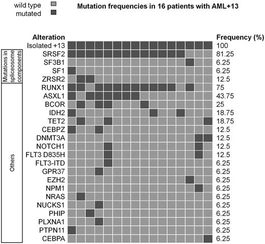 Figure. Mutation frequencies in 16 patients with AML+13