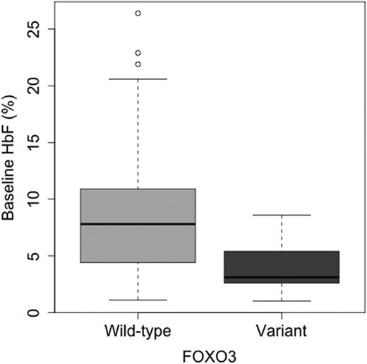 Figure 1. Boxplot demonstrating effect of any FOXO3 variants on endogenous %HbF compared to wild-type individuals.