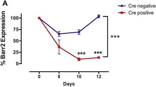 Figure 1. (A) Percent β arr2 expression over time in spleen is significantly lower in Cre positive versus Cre negative mice (*** p <0 .0001 by two-way ANOVA)(n=3 mice at each time point on days 8, 10 and n=2 at each time point day 12). (B) Percent βarr2 expression at day 12 in spleen relative to pretreatment expression levels (*** p=0.0002 by t-test)(n=2 at each time point).