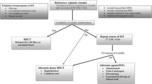 Figure 1. Algorithm for the management of refractory AA patients: our personal perspective.