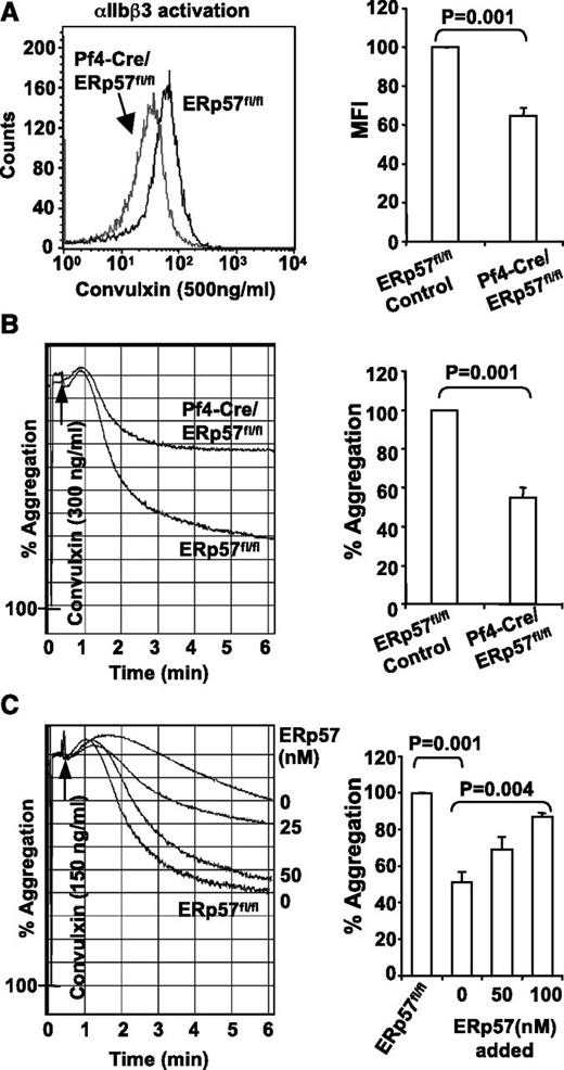 Figure 3. Deficiency of platelet ERp57 impairs activation of αIIbβ3 and platelet aggregation. (A) ERp57-deficient platelets have a defect in activation of αIIbβ3 (detected by the JON/A activation dependent antibody). Depicted is a representative sample and the mean fluorescent intensity (MFI) of cumulative data ± SE (n = 5). (B) Representative aggregation tracing and combined results (n = 6) showing the aggregation defect in ERp57-deficient platelets using convulxin (300 ng/mL). (C) Correction of the aggregation defect of Pf4-Cre/ERp57fl/fl platelets by addition of ERp57 relative to ERp57fl/fl control platelets. Additional experiments show correction of the aggregation defect in ERp57-deficient platelets by addition of 50 or 100 nM ERp57 (n = 3 for each condition). Recombinant ERp57 was added for 5 minutes before aggregation was induced by convulxin (150 ng/mL).