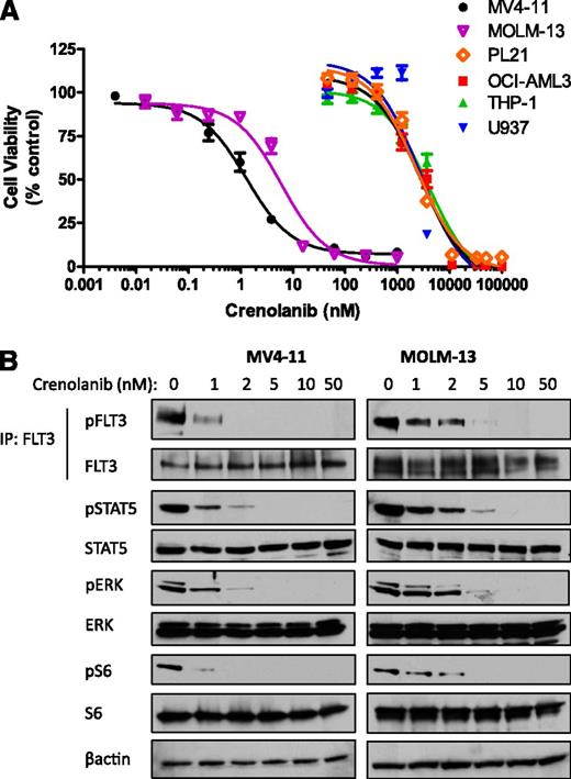 Figure 1. Crenolanib potently inhibits FLT3-ITD AML cell viability and FLT3 signaling. AML cells were treated with DMSO or increasing concentrations of crenolanib (A) for 72 hours and cell viability was measured or (B) for 1 hour and lysed. Western blot analysis was performed on FLT3 immunoprecipitation eluent or whole-cell lysate by use of the indicated antibodies . Cell viability measurements represent the mean ± SEM of 3 experiments with 6 replicates each (n = 18). IP, immunoprecipitation.