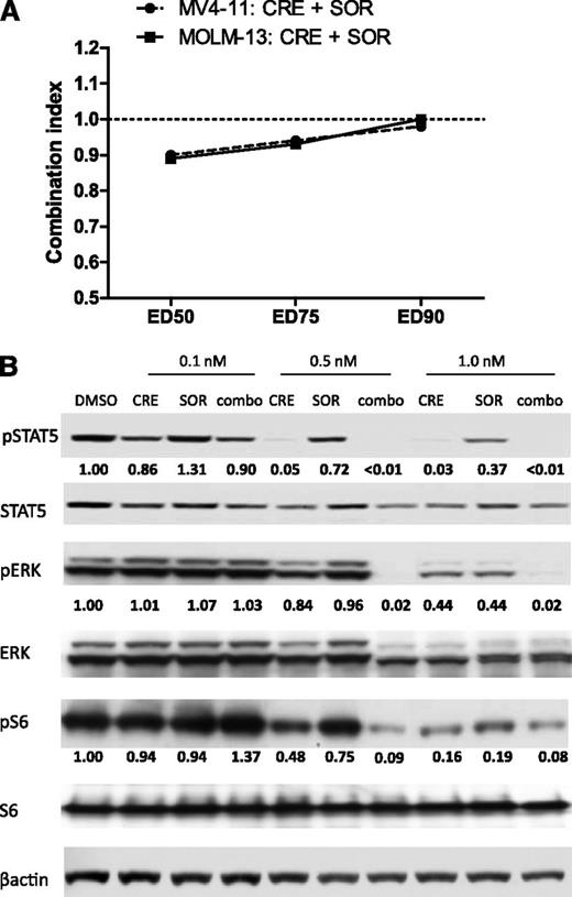 Figure 2. Drug combination effects on MV4-11 cell viability and FLT3 signaling. (A) MV4-11 and MOLM-13 cells were treated with DMSO or increasing concentrations of crenolanib (CRE), sorafenib (SOR), or both at a fixed concentration ratio for 72 hours and cell viability was measured. Calcusyn combination index (CI) values were generated for drug combination effects on cell viability. Cell viability experiments were performed in triplicate with 6 replicates each (n = 18; CI value > 1.0: antagonism; CI value = 1.0: additivity; CI value < 1.0: synergism). (B) MV4-11 cells were treated for 1 hour with DMSO or the indicated concentration of crenolanib (CRE), sorafenib (SOR), or both (combo) and lysed. Western blot analysis was performed on whole-cell lysate by use of the indicated antibodies. Densitometry measurements were normalized to total protein amount.