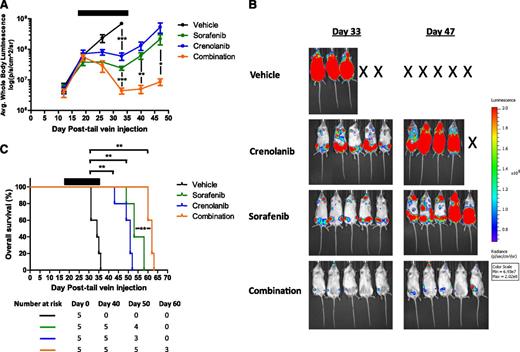 Figure 3. Antileukemic effects of the combination of crenolanib and sorafenib in a MV4-11 xenograft AML mouse model. Female NSG mice engrafted with MV4-11-luc cells were treated with vehicle, crenolanib 15 mg/kg intraperitoneally, sorafenib 15 mg/kg orally, or crenolanib (15 mg/kg, intraperitoneally) plus sorafenib (15 mg/kg, orally) once daily (Monday to Friday) for 3 consecutive weeks beginning on day 17. (A-B) Leukemic cell bone marrow infiltration was monitored by noninvasive luciferase imaging (*P < .05; **P < .01; ***P < .001). (C) Kaplan-Meier analysis of animal survival (**P = .0017 for crenolanib vs vehicle; P = .0017 for sorafenib vs vehicle; P = .0017 for the drug combination versus vehicle; P = .0021 and P = .0026 for the drug combination vs crenolanib or sorafenib alone, respectively). Black bar denotes treatment period.