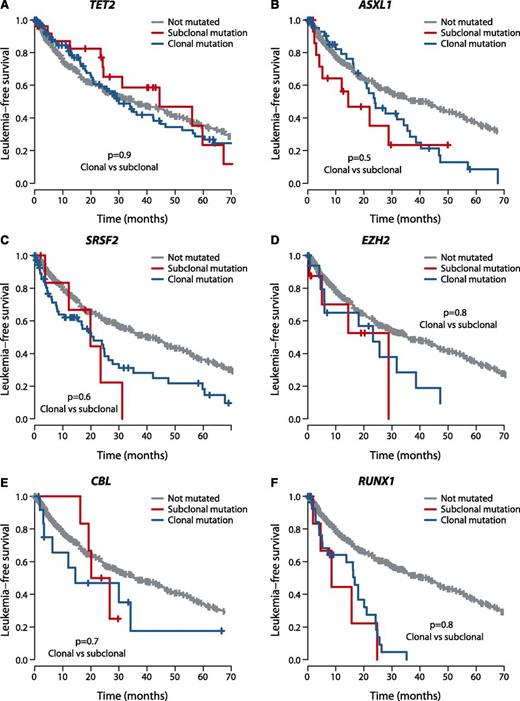 Figure 4. Outcome by whether driver mutations are clonal or subclonal. Leukemia-free survival for patients showing no mutation (gray), clonal driver mutations (blue), or subclonal driver mutations (red) for (A) TET2, (B) ASXL1, (C) SRSF2, (D) EZH2, (E) CBL, and (F) RUNX1. The P values denote the hypothesis test of whether splitting driver mutations into clonal or subclonal categories improves fit in a Cox proportional hazards model.