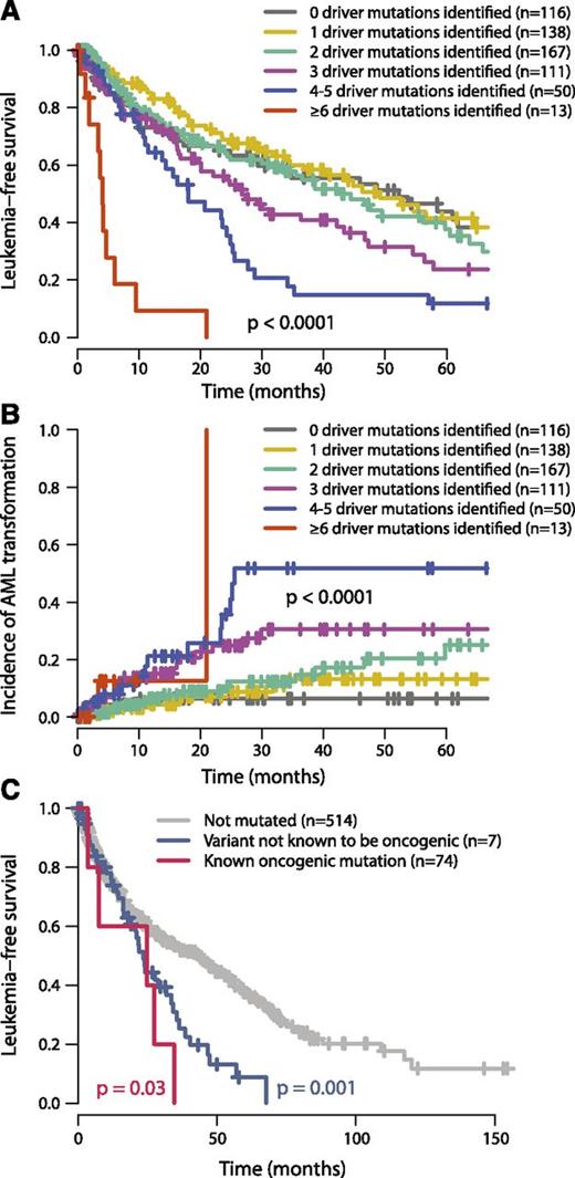 Figure 5. Relationship between number of oncogenic mutations and outcome. (A) Leukemia-free survival for patients broken down by how many oncogenic mutations were identified (including both point mutations and cytogenetic lesions). The mean number of cytogenetic lesions per patient was 0.2, 0.4, 0.5, 0.8, and 2.3 for patients with 1, 2, 3, 4 to 5, and 6 or more oncgenic mutations, respectively. The P value denotes the log-rank test of the null hypothesis that all groups had the same leukemia-free survival. (B) Incidence of transformation to acute leukemia broken down by how many oncogenic mutations were identified. (C) Leukemia-free survival for patients with no ASXL1 mutations (gray), “known oncogenic” mutations (blue), and “possible oncogenic” mutations or variants “of unknown significance” (red). The P values refer to log-rank tests comparing the class of mutation to those patients without ASXL1 mutations.