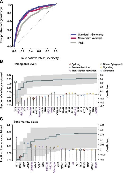 Figure 6. Predicting leukemia-free survival. (A) Receiver operating characteristic curves on cross-validation subsets for leukemia-free survival using 3 variable datasets: IPSS (gray); standard variable predictions made using all variables available from peripheral blood counts bone marrow evaluation, cytogenetics, and demographics (red); and sequencing in combination with all standard variables (blue). The further the curve deviates from the diagonal, the more informative the prognostic model is. (B) Multivariate model to predict hemoglobin levels from driver mutations. The green step curve shows the cumulative proportion of variance (left y-axis) in hemoglobin levels explained by each of the genetic variables as one proceeds from left to right along the x-axis. The gray shaded area represents the 95% CI for this curve. Coefficient estimates for each gene in the model including all variables (right y-axis) are shown as circles, colored by biological pathway and sized by the number of patients with the given lesion. Coefficients above 0 indicate positive correlation with hemoglobin levels. (C) Multivariate model to predict bone marrow blast count from driver mutations, as for panel B.
