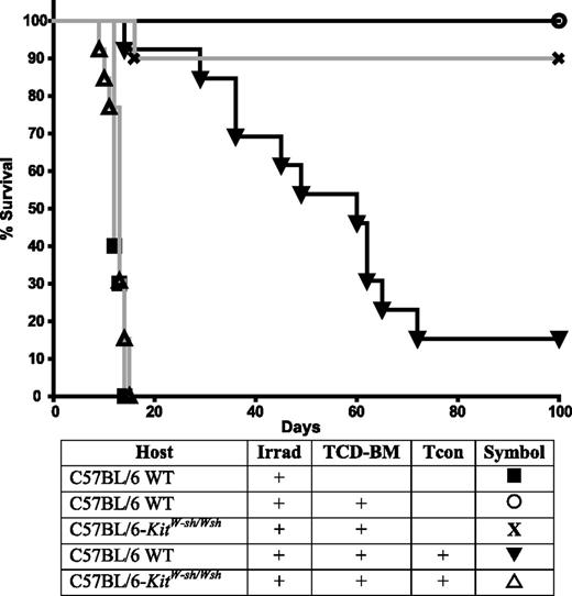 Figure 1. Mast cell–deficient mice have exacerbated GVHD. Recipient mice, which were either C57BL/6 (H-2b) WT or mast cell–deficient C57BL/6-KitW-sh/Wsh mice, were lethally irradiated and transplanted with 5.0 × 106 TCD-BM, followed by 2.0 × 106 Tcon on day 4 (to induce GVHD) from FVB/N donors (H-2q). Data were pooled from 2 independent experiments performed, each of which gave similar results (n = 13 mice per group except for C57BL/6-KitW-sh/Wsh with irradiation + TCD-BM, n = 10). Significantly better survival was observed in the control mice containing mast cells than in the mast cell–deficient C57BL/6-KitW-sh/Wsh mice (P < .0001).