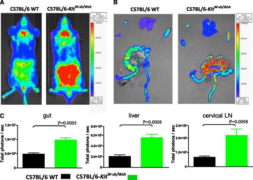 Figure 2. Mast cell–deficient mice have increased amounts of Tcon survival/proliferation. Either WT C57BL/6 (H-2b) or mast cell–deficient (C57BL/6-KitW-sh/Wsh) hosts were transplanted with 5.0 × 106 TCD-BM, followed by 2.0 × 106 luc+ Tcon on day 4. Bioluminescent images were taken 10 days after transplant (A: in vivo imaging; B: ex vivo imaging). (C) C57BL/6-KitW-sh/Wsh mice demonstrated significantly more T-cell survival/proliferation than the corresponding C57BL/6 WT mice in lymph nodes, liver, and gut of Tcon (n = 5). Shown is 1 experiment of the 4 performed, each of which gave similar results.
