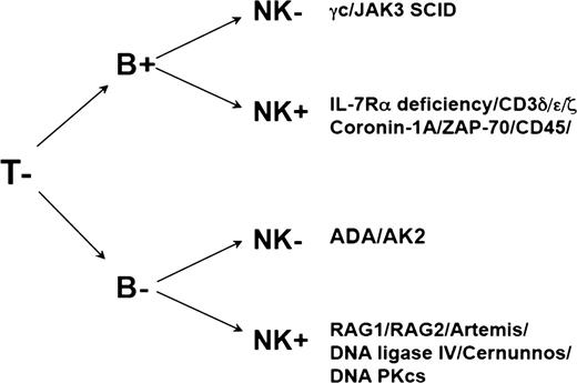 Figure 1. Immunophenotypes in SCID.