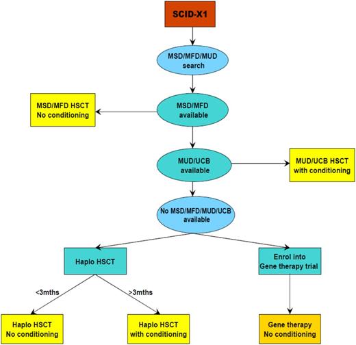 Figure 4. Management of SCID-X1.