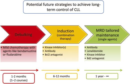 Figure 3. Future treatment concept with novel agents. For this treatment approach, I propose the term “sequential triple-T” (tailored, targeted, total eradication of MRD) to illustrate that this future approach should be a sequence of tailored measures (according to the risk of the leukemia, the tumor burden, and the fitness of the patients), should use targeted agents (ie, using the novel nonchemotherapeutic agents with a mechanism of action targeting pathogenic signaling events of CLL cells and their microenvironment), and aim at the total eradication of the leukemic clone (as assessed by MRD negativity as a clinical end point). Please note that the drugs or classes of drugs in this figure are shown as examples. Similar agents of the same class or additional classes of drugs (see Table 1) may be used as well.