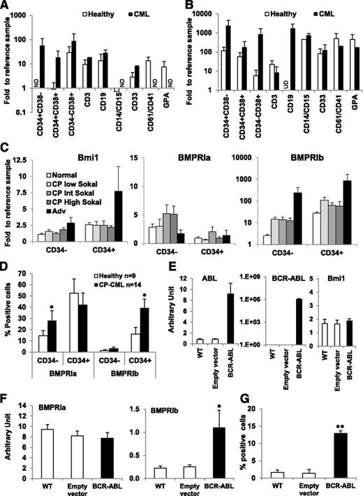 Figure 2. BMPRIb is specifically deregulated in primary immature CD34+ CML cells. Comparative expression of BMPRIa (A) and BMPRIb (B) genes in distinct sorted subpopulations obtained from healthy donor BM samples (n = 4; open bars) and CP-CML patient samples at diagnosis (n = 3; closed bars). The subpopulations represent immature primitive cells (C34+CD38−), immature progenitors (C34+CD38+), lineage-restricted progenitors (C34−CD38+), monocytes/granulocytes (CD14/CD15+), mature myeloid cells (CD33+), megakaryocytes (CD61/CD41+), erythroid compartments (glycophorin A-GPA+), and T (CD3+) and B (CD19+) lymphocytes. Results are expressed as fold change vs the reference value for each gene, using the same healthy donor sample. *P < .05, **P < .005, and ***P < .0001 indicate differences between the gene expression levels in CML compared with healthy samples. (C) Comparative expression of Bmi1, BMPRIa, and BMPRIb genes in CD34+ and CD34− cells obtained from healthy donors (n = 14; open bars) and CML patient samples either in chronic phase (CP) at diagnosis (n = 53; gray bars) or in advanced (Adv) phase at diagnosis (n = 4; closed bars). Results from patient samples in CP at diagnosis are subdivided between low (<0.8), intermediate (0.8–1.2), and high (> 1.2) Sokal scores (different tone gray bars). (D) Flow cytometry analysis of BMPRIa and BMPRIb cell surface expression in CD34+ and CD34− cells obtained from healthy donors (n = 9; open bars) and CP-CML samples at diagnosis (n = 14; closed bars), using a FACSCalibur cell analyzer (Becton Dickinson). Results are expressed as the percentage of receptor-expressing cells. *P < .05 indicates differences between healthy and CML samples. Comparative expression of (E) ABL, BCR-ABL and Bmi1 genes or (F) BMPRIa and BMPRIb genes by qPCR in parental TF1 cells transduced either with an empty vector (non-BCR-ABL; open bars) or with a vector containing BCR-ABL expressing sequence (closed bars). Results represent the mean value ± standard error of the mean (SEM) of 7 (E) or 14 experiments (F). *P < .05 indicates differences between parental TF1 cells transduced with an empty vector and BCR-ABL-transduced TF1 cells. (G) Flow cytometry analysis of BMPRIb receptor cell surface expression on either parental TF1 cells transduced with an empty vector (non-BCR-ABL; open bars) or with a vector containing BCR-ABL expressing sequence (closed bars) and, as indicated, performed on viable cells using a FACSCalibur cell analyzer (Becton Dickinson). Results represent the mean value ± SEM of 8 experiments. **P < .005 indicates differences between parental TF1 cells transduced with an empty vector and BCR-ABL-transduced TF1 cells.