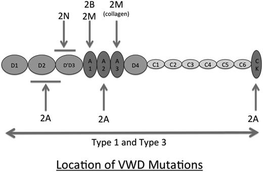 Figure 2. Figure illustrating the location of mutations resulting in the various VWD subtypes. Types 1 and 3 VWD are caused by different types of mutation throughout the VWF sequence. In contrast, the type 2 VWD mutations are localized to distinct functional domains of VWF, affecting multimer structure (2A), binding to FVIII (2N), platelets (2B and 2M), and collagen (2M).