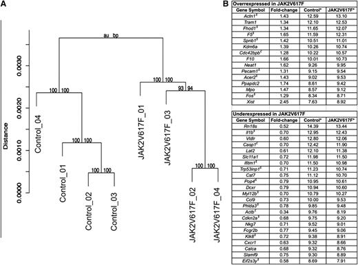 Figure 7. Differential gene expression in JAK2V617F MKs. MKs from 4 control and 4 JAK2V617F mice were cultured and purified through a BSA gradient. RNA was extracted, and expression arrays performed. (A) Hierarchical clustering of control and JAK2V617F gene expression values separates the samples into 2 different populations. Shown above each cluster are the corresponding approximately unbiased and bootstrap probability values, which indicate the strength by which the cluster is supported by the data. (B) Genes that were over- or underexpressed by a factor of 1.25 with P < .05 and false discovery rate <0.25 are presented in the table. * denotes average signal for all 4 control and JAK2V617F samples; $, genes for which the differential expression was confirmed by quantitative PCR; and £, genes for which the PCR results did not confirm the array findings. Genes with no indication were not analyzed by PCR.
