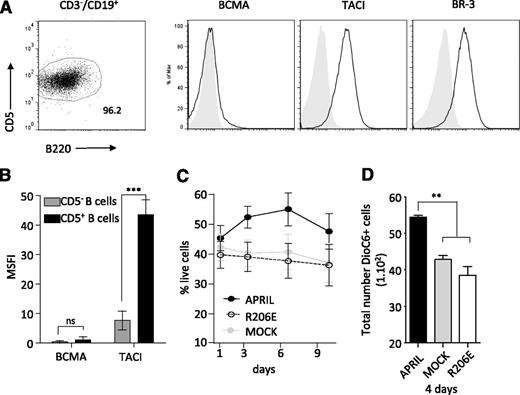 Figure 2. APRIL-mediated effect depends on TACI and not BCMA. (A) Splenic CD19+CD5+ cells were isolated from TCL1-Tg mice (older than age 11 months) with an overt leukemic phenotype; stained with anti-BCMA, anti-TACI, and anti–BR-3 fluorescent-conjugated antibodies and analyzed by fluorescence-activated cell sorter. Spleens contained more than 70% leukemic cells (CD5+B220dull) among the gated B cells (CD3–, CD19+, left panel). Unfilled bold line represents the specific staining; the shaded curve represents the isotype control. Data shown are from representative mice (n = 6). (B) TACI and BCMA expression are represented as mean specific fluorescence intensity (MSFI) (n = 3). (C) 100 000 splenic CLL cells from TCL1-Tg mice age 8 to 12 months that were >70% CD5+CD19+B220dull were stimulated by using either APRIL-WT, mock APRIL, or a mutant of APRIL that binds to BCMA and not TACI (APRIL-R206E). At the indicated time points, cell viability was measured. (D) Absolute number of DioC6+ cells following 4 days of stimulation with indicated conditioned media. **P < .01.