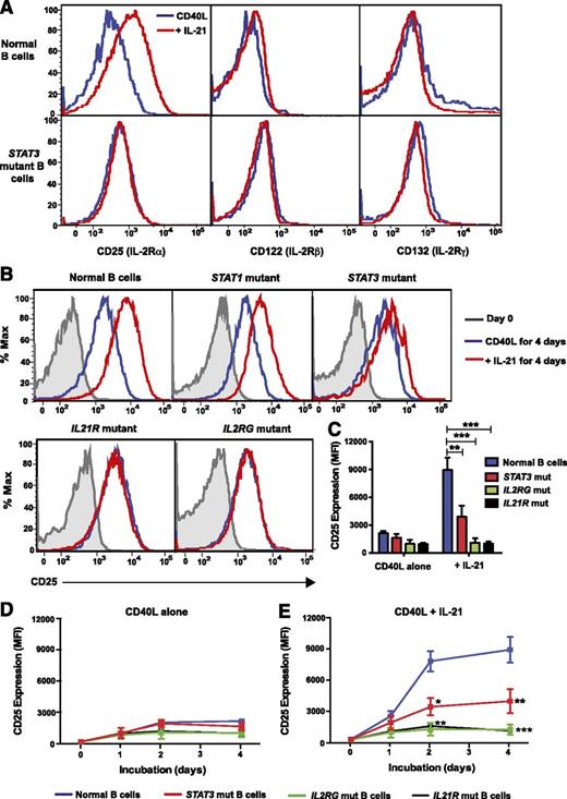 Figure 2. IL-21–induced expression of CD25 is impaired on STAT3MUT naïve B cells. (A-C) Naive B cells from normal donors or patients with loss-of-function mutations in STAT3, STAT1, IL2RG, or IL21R were cultured with CD40L alone (blue) or in combination with IL-21 (red). (A) Expression of IL-2Rα (CD25), IL-2Rβ (CD122), and IL-2Rγ (CD132, γc) on normal and STAT3MUT B cells or of (B-C) IL-2Rα (CD25) on normal and STAT1MUT, STAT3MUT, IL-21RMUT, or IL2RγMUT B cells was determined after 5 days (or on day 0 for B). The histogram plots in A and B are representative of experiments performed on naïve B cells isolated from 6 normal donors, 6 STAT3-deficient patients, 1 STAT1-deficient patient, 2 IL-2Rγ–deficient patients, and 3 IL-21R–deficient patients. The summary graph in C depicts the mean ± SEM of CD25 expression on cultured B cells from the indicated numbers of patients. (D-E) Naïve B cells from normal donors (blue, n = 7), STAT3-deficient AD-HIES patients (red, n = 6), IL-2Rγ–deficient X-SCID patients (green, n = 2), or IL-21R–deficient patients (black, n = 3) were cultured with CD40L alone (D) or in the presence of IL-21 (E). The mean fluorescence intensity (MFI) of CD25 expression was determined at the indicated times. Results represent mean ± SEM for the indicated number of controls and patients. *P < .005, **P < .001, ***P < .0001.