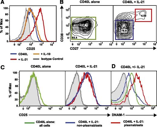 Figure 3. IL-21, but not IL-10, induces CD25 expression on all activated naïve B cells. (A) Naïve B cells from healthy donors were cultured for 5 days with CD40L alone (blue histogram) or in the presence of IL-10 (orange histogram) or IL-21 (red histogram). Expression of CD25 was determined after 5 days. (B-D) Normal naïve B cells were cultured for 5 days with CD40L alone or together with IL-21 for 5 days. (B) Differential expression of CD27 and CD38 delineates IL-21–induced plasmablasts (CD38hiCD27hi; red gate) and nonplasmablasts (CD38loCD27lo; blue gate). Expression of CD25 (C) or DNAM-1 (D) was determined on all B cells in cultures stimulated with CD40L alone or on nonplasmablasts and plasmablasts present in cultures of CD40L/IL-21–stimulated B cells. Gray histograms represent isotype controls. Numbers represent percentage of live cells within each gate.