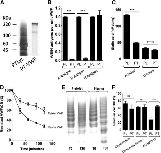 Figure 1. Glycosylation of platelet-VWF and susceptibility to ADAMTS13 proteolysis. (A) Platelet (PT)-VWF was purified from lysed (Lys) human platelets by immunoaffinity chromatography and analyzed by SDS-polyacrylamide gel electrophoresis and subsequent silver staining. (B) ABO(H) blood group antigen expression on plasma (PL)-VWF and PT-VWF were quantified using lectin plate-binding assays. All experiments were performed in triplicate, and the results shown represent the mean ± SEM (***P < .001). (C) Reverse-phase HPLC analysis was used to quantify sialic acid expression on purified PL-VWF and PT-VWF. Total sialic acid expression on PT-VWF was significantly reduced compared with PL-VWF (76 vs 167 nmol/mg; ***P < .001). To determine relative quantitative sialic acid expression levels on the N-linked glycans of VWF, HPLC analysis of residual VWF-bound sialic acid was performed following digestion with O-glycosidase. To determine quantitative sialic acid expression on the O-linked glycans of VWF, HPLC analysis of residual VWF-bound sialic acid was performed following digestion with PNGase F. (ns, P value is nonsignificant). (D) To investigate whether altered glycosylation on platelet-VWF influences susceptibility to ADAMTS13 proteolysis, PT-VWF and PL-VWF were incubated with 3 nM recombinant human ADAMTS13 in the presence of 1.5 M urea. Rate of cleavage was assessed by determining the reduction in VWF:CB over time. Results (mean of 5 experiments ± SEM) are expressed as the percentage residual collagen-binding activity. In some cases, SEM cannot be seen due to its small size. (E) The susceptibility of PT-VWF and PL-VWF multimers to digestion with recombinant human ADAMTS13 in the presence of 1.5 M urea was further assessed by performing standard nonreducing SDS agarose gel electrophoresis at baseline (T0) and following a 30-minute incubation (T30). (F) To establish whether the altered glycosylation profile of PT-VWF influenced susceptibility to other nonspecific proteases, PL-VWF and PT-VWF were also treated with chymotrypsin (30 U/mg VWF) and carboxypeptidase Y (19 U/mg VWF) at 37°C for 90 minutes. Results are shown as residual VWF:CB at 90 minutes ± SEM.