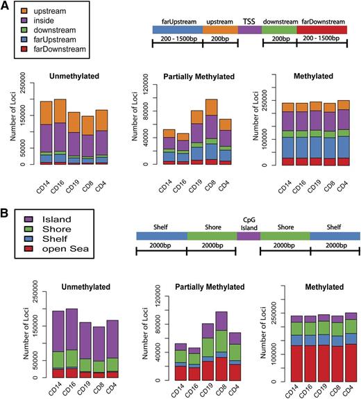 Figure 1. Cell-subset–specific DNA methylation profiles of purified primary human leukocytes. (A-B) Genome-wide DNA methylation profiles of purified leukocyte cell subsets using the Illumina Infinium HumanMethylation450 BeadChip. The DNA methylation status of each CpG site was classified as “unmethylated,” “partially methylated,” or “methylated” and the number of probes of each status plotted per cell type. (A) Genomic location of individual sites in relation to TSSs. Location of probes referred to as within TSSs, 200 bp upstream or downstream from the TSSs, and far upstream and downstream (200-1500 bp from TSSs). (B) Distribution of sites with regard to their position relative to CGIs. CpG shores were defined as the 2-kb regions flanking CGIs, and the shelves as 2-kb regions extending from the shores. Probes located further away from CGIs are defined as being in open sea.