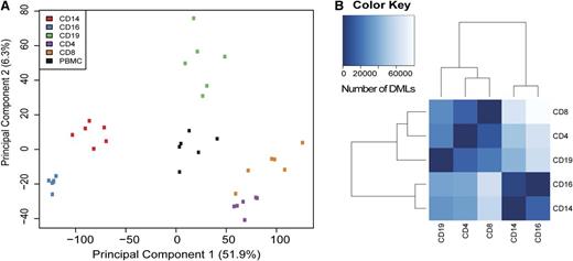 Figure 2. PCA and differential methylation analysis of human leukocyte subsets. (A) PCA of leukocyte subsets and whole PBMC DNA methylation profiles. (B) Differential methylation analysis illustrating the number of differentially methylated loci between individual subsets. Analyses were performed on Illumina Infinium HumanMethylation450 BeadChip data for each cell type.